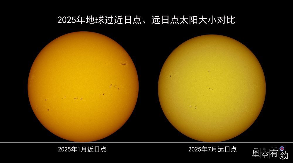 广西发现新物种阳朔风筝果