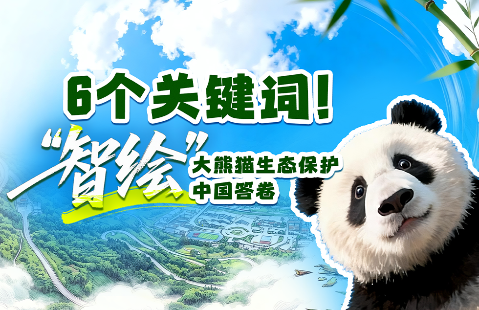 韩国朝鲜