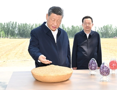 文章模仿向佐动作