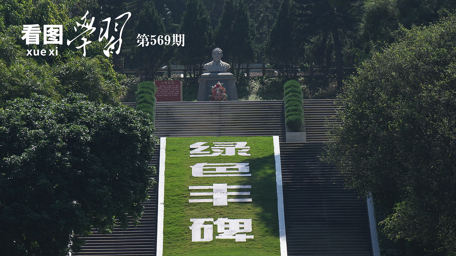 东北雨姐为何注册多家公司