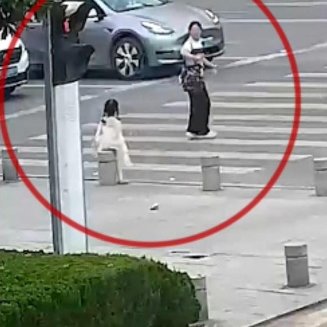 习近平等为受表彰的全国“两优一先”代表颁奖