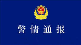 双十一预售