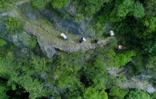 彭清华出席2026年“鼓岭缘”中美青少年棒球友谊赛暨体育交流周开幕式