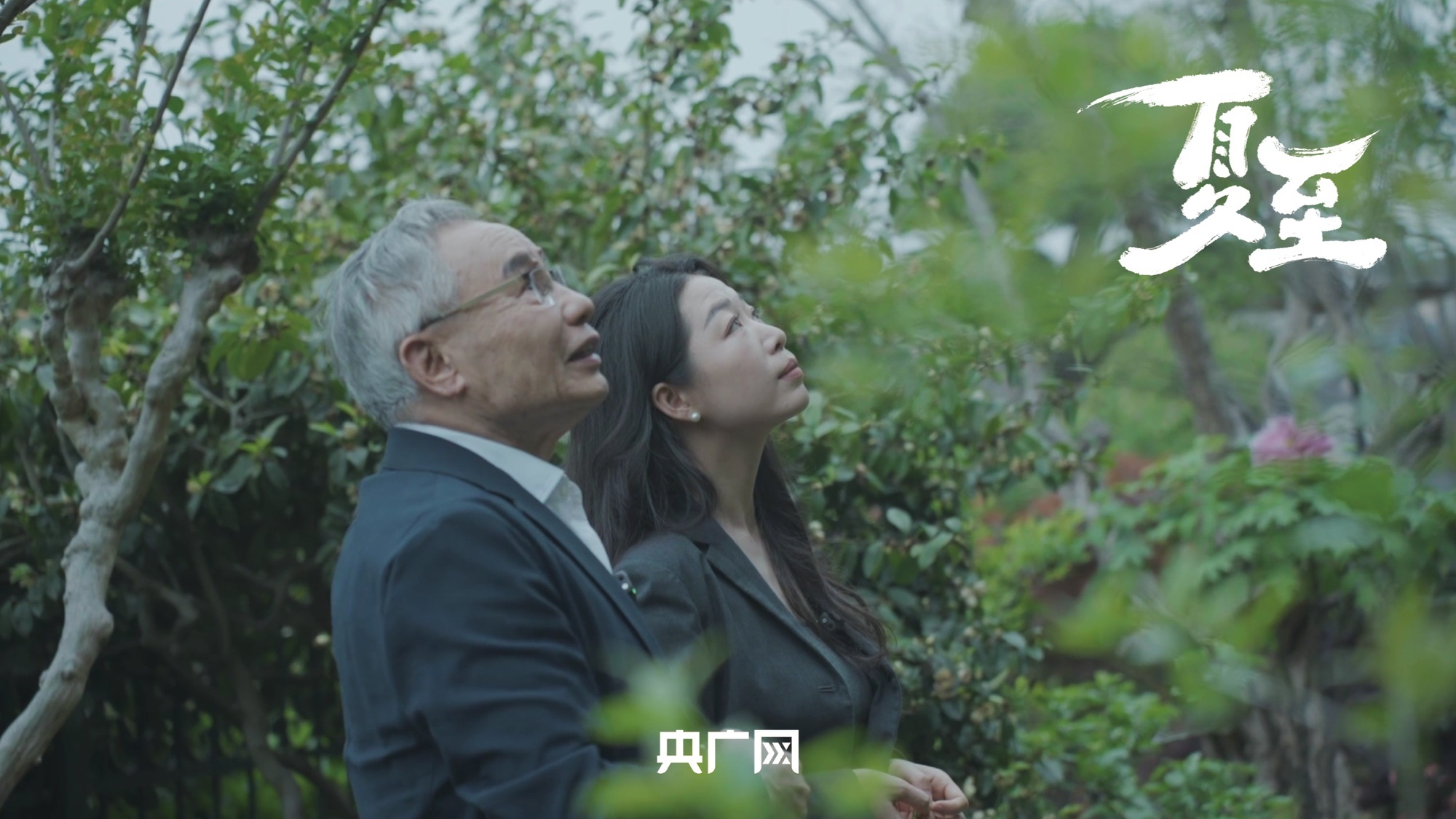 成全免费高清在线观看第7季预告
