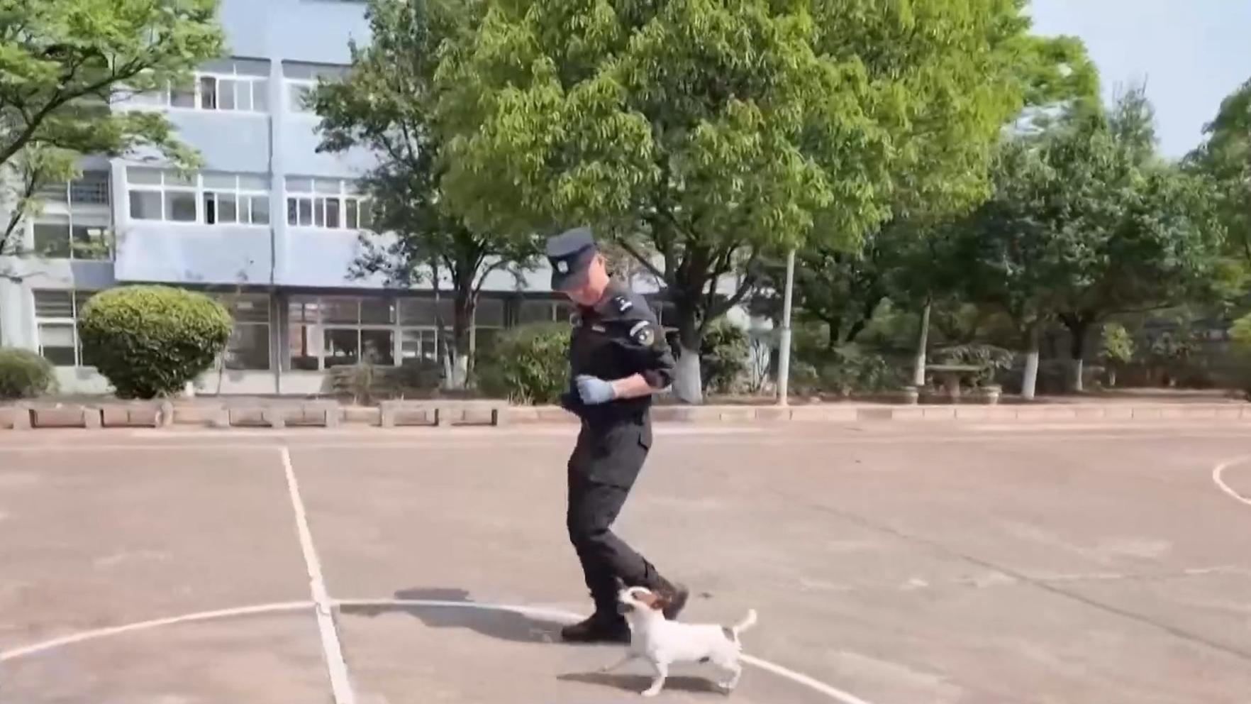 锦绣安宁假竹马完胜真天降