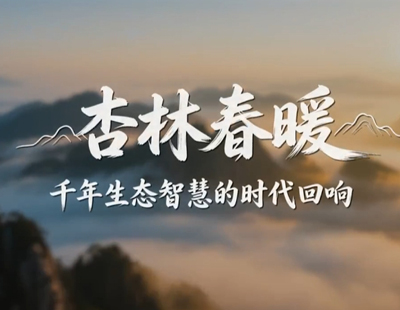 云南保山端午“赶花街”:花香药香 氤氲满城