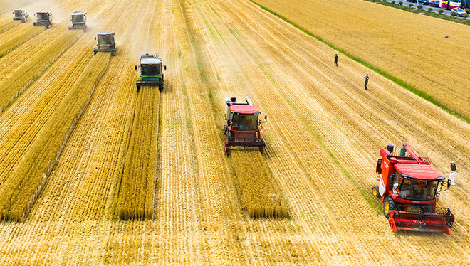 徐艺真上综艺